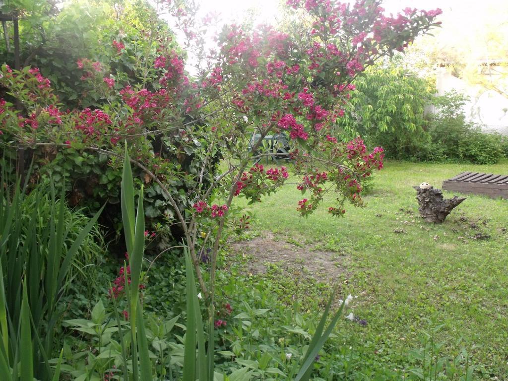 Kerekparos Es Zarandok Vendeghaz Villa Apostag Phòng bức ảnh